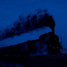 cat21915_img71226327.jpg