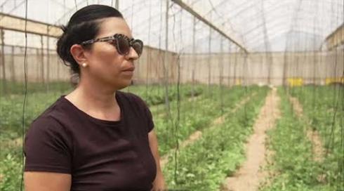 "אף אחד לא מדבר איתנו": בעלי העסקים בעוטף שעדיין מחכים לפיצוי מהסבבים הקודמים