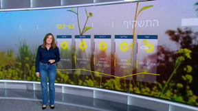 התחזית 05.01.2025 | הגשם חוזר - חשש לשיטפונות בנחלים