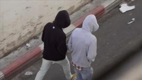 פלסטינים להט"בים