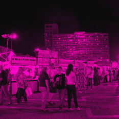 cat17338_img399546826.jpg
