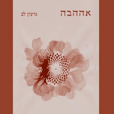 כריכה