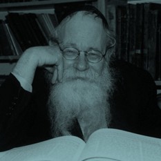 הרב עדין שטיינזלץ,ויקיפדיה