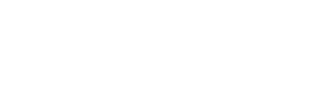 דום לב 2001