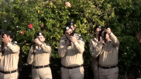 סיפורי הנופלים