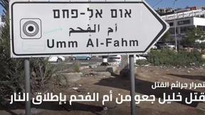 النشرة المسائية 