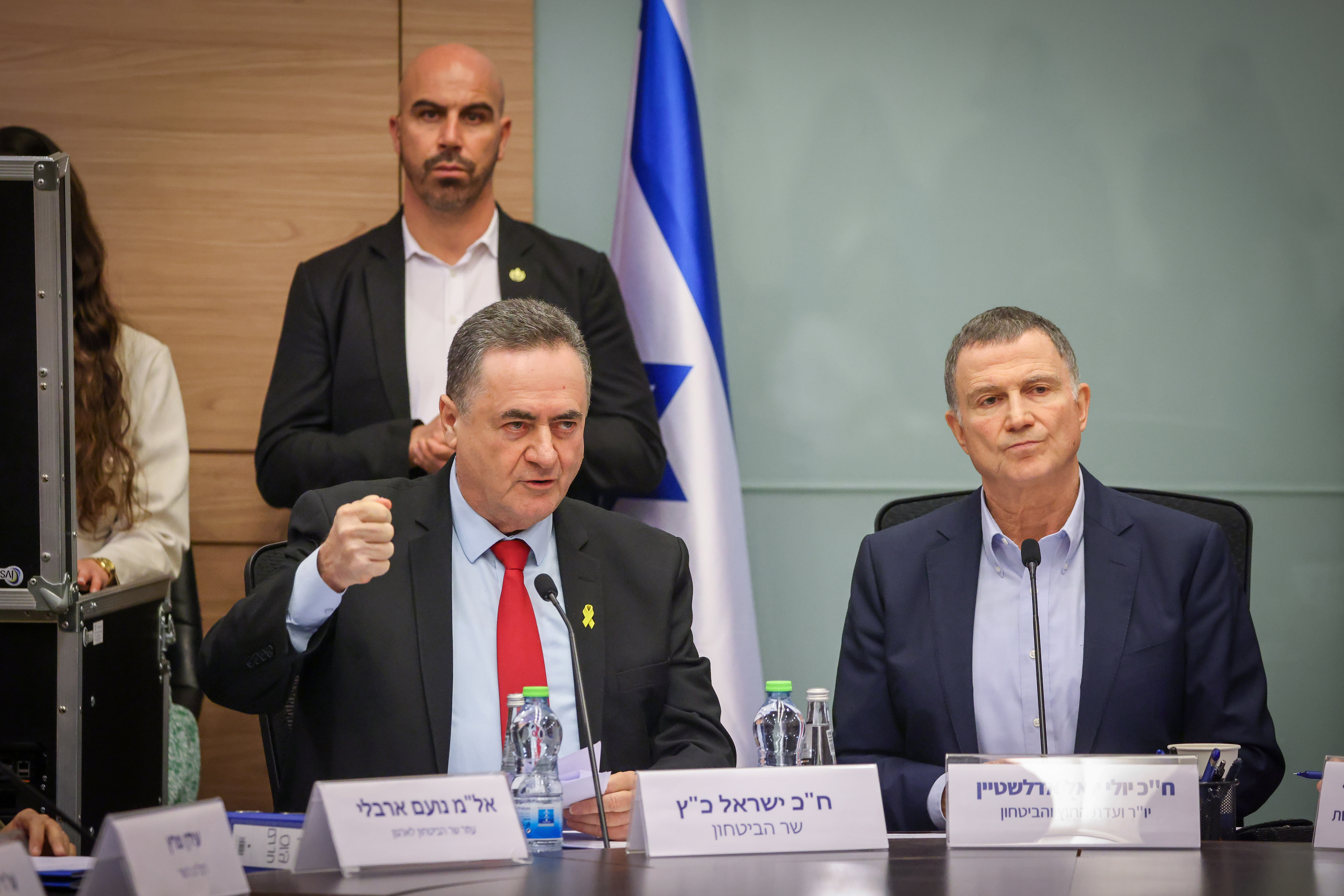 ישראל כ"ץ בוועדת החוץ והביטחון