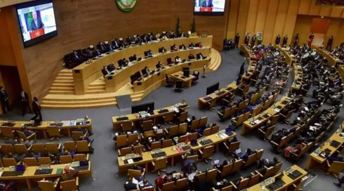 ישראל בלמה ניסיון להדיח אותה מהאיחוד האפריקני