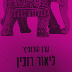 כריכת הספר 'ליאור רובין'
