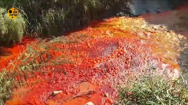 כמו מכת דם: הזיהום החריג שצבע את נחל אלכסנדר