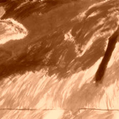 cat13770_img536081554.jpg