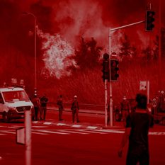 אולי תרבות 2 ריבוע