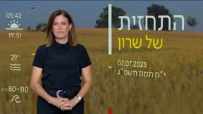 תחזיתי