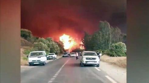זועקים לעזרה: באלג'יריה נאבקים בשריפות (או הצתות) ענק
