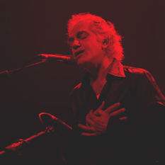 cat19724_img968924293.jpg