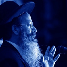 הרב אליעזר מלמד