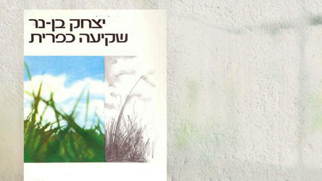 מערכת כאן