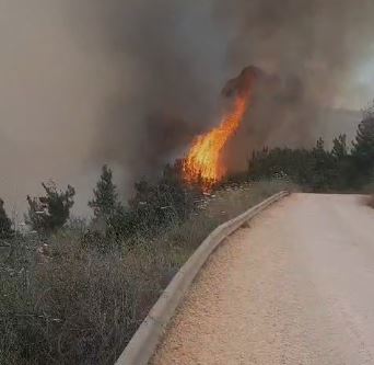 שריפה ברכס רמים
