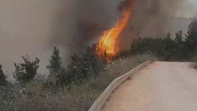 שריפה ברכס רמים