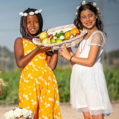 Shavuot: Su historia, esencia, trascendencia y pro