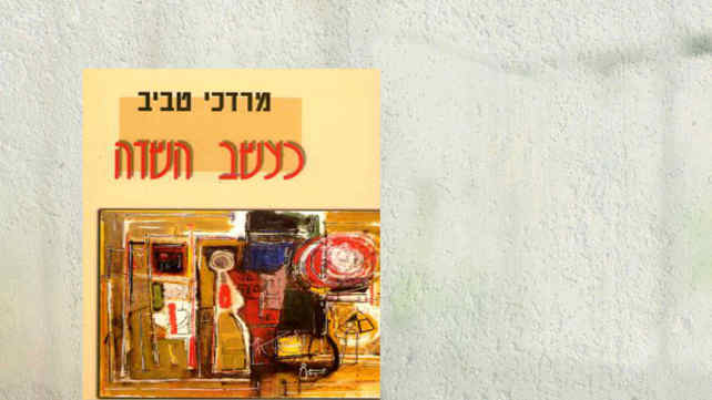 מערכת כאן