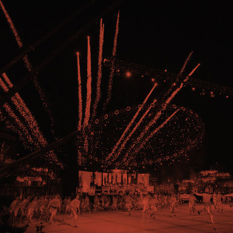 cat10033_img491188363.jpg