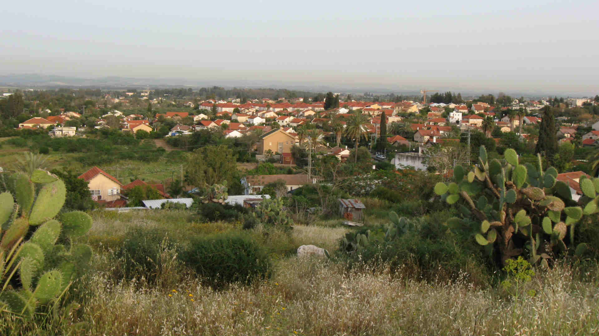גדרה