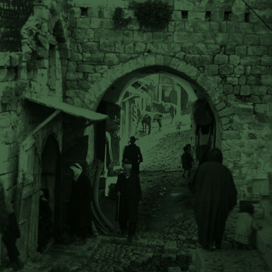 אני מצפת
