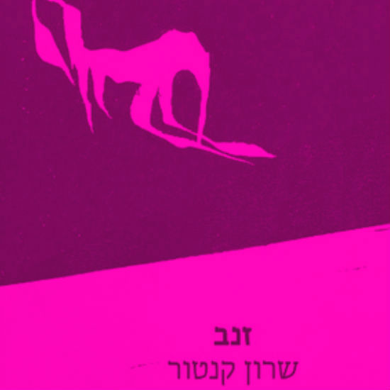לכשכש בספר