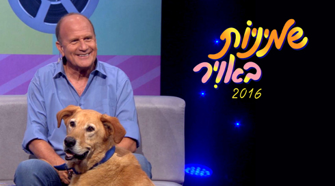 שמיניות באוויר 2016