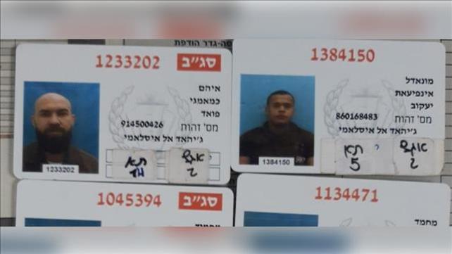 כמאמג'י ענפיאת
