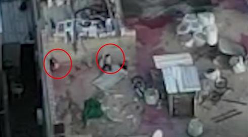 בנות 10 מעבירות קוקאין וקריסטל: תחנת הסמים שנתפסה בלוד