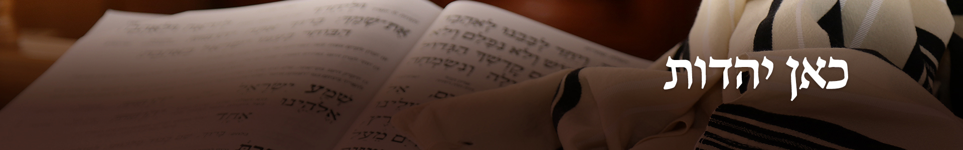כאן יהדות