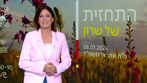 התחזית