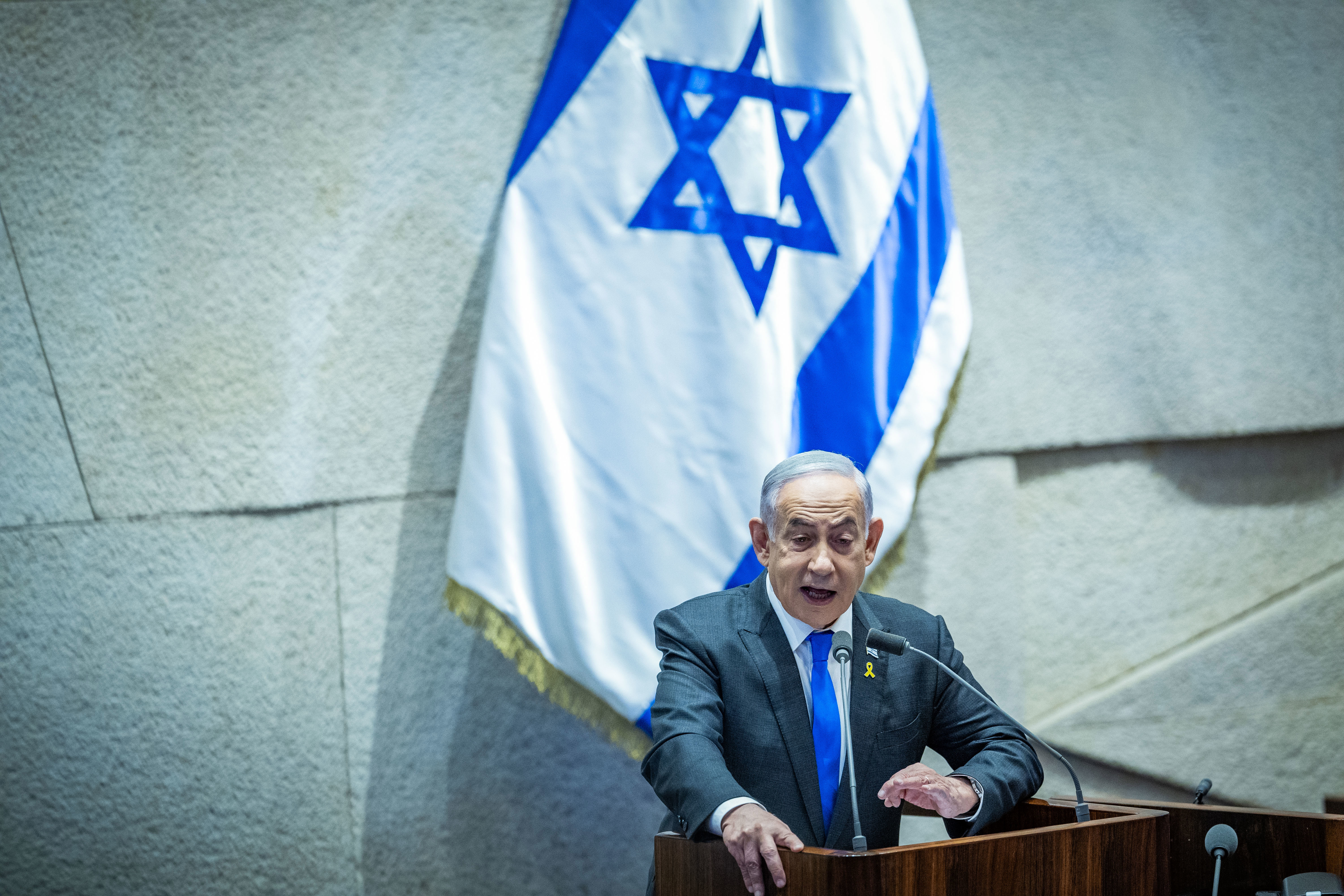 ראש הממשלה בנימין נתניהו