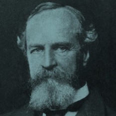 cat21869_img650357458.jpg