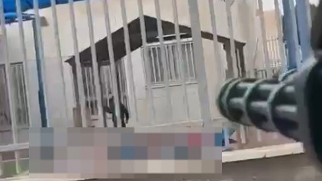 האירוע החריג באשקלון: יורה ברובה צעצוע לעבר גן ילדים