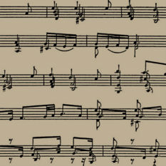cat17605_img489024611.jpg