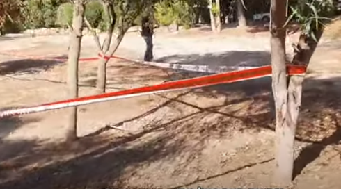 "כמו בסרטים, הסכין הייתה נעוצה בלב": פרטים נוספים על רצח הבן המאומץ במודיעין