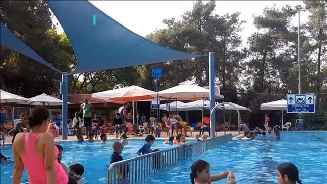 מיכל וסרמן קיבוץ גלעד משחקי הכיס