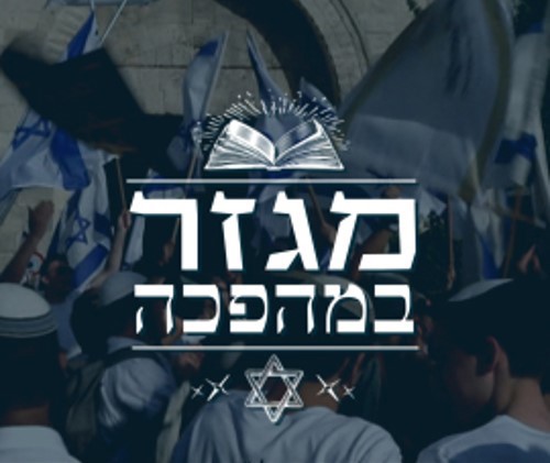 מגזר במהפכה
