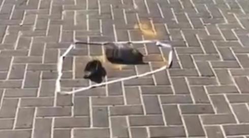 הקרבות בסיני: קליע טנק אותר בבני נצרים, נזק קל נגרם לקיר מבנה ורכב
