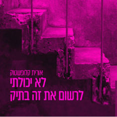 כריכת הספר 'לא יכולתי לרשום את זה בתיק'