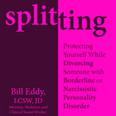 כריכת הספר 'spliting"