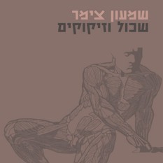 כריכת הספר 'שכול וזיקוקים'