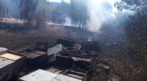 רגע לפני ראש השנה: עשרות כוורות בקיבוץ דן נשרפו כליל בפעם השנייה השבוע