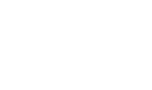 המדינה שבדרך