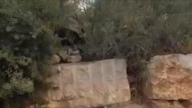צבוע בכניסה לבית ספר בבאר שבע