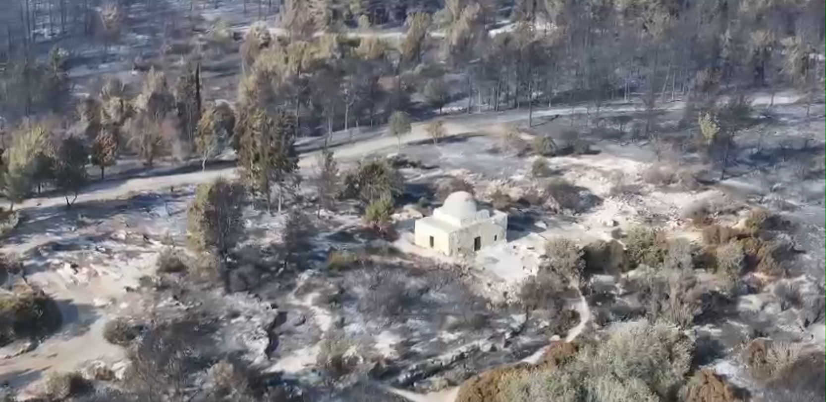 תיעוד נזקי השריפה בהרי ירושלים
