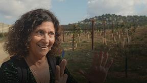 אנג'ליקה פיקס